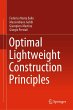 Optimal Lightweight Construction... - Bild 1