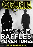 A Thief In The Night (eBook, ePUB)