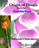 Origin of Bangla Third Part Sundarban (eBook, ePUB)