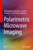 Polarimetric Microwave Imaging