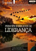 Princípios Bíblicos de Liderança   Professor (eBook, ePUB)