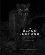 The Black Leopard - Bild 1