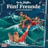 Folge 22: Fünf Freunde und die... - Bild 1