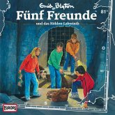 Folge 81: Fünf Freunde und das Höhlen-Labyrinth (MP3-Download)