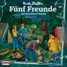 Folge 65: Fünf Freunde und die... - Bild 1