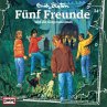 Folge 34: Fünf Freunde und die... - Bild 1