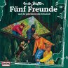 Folge 56: Fünf Freunde und die... - Bild 1