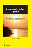 Raus aus der Krise - Jetzt ! (eBook, ePUB)