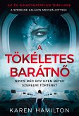 A tökéletes barátno (eBook, ePUB)