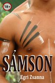 Sámson (eBook, ePUB)