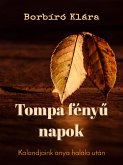 Tompa fényű napok (eBook, ePUB)