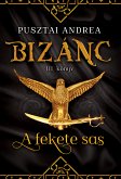 A fekete sas (eBook, ePUB)