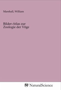 Bilder-Atlas zur Zoologie der Vöge