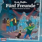Folge 59: Fünf Freunde und das Abenteuer im Schnee (MP3-Download)