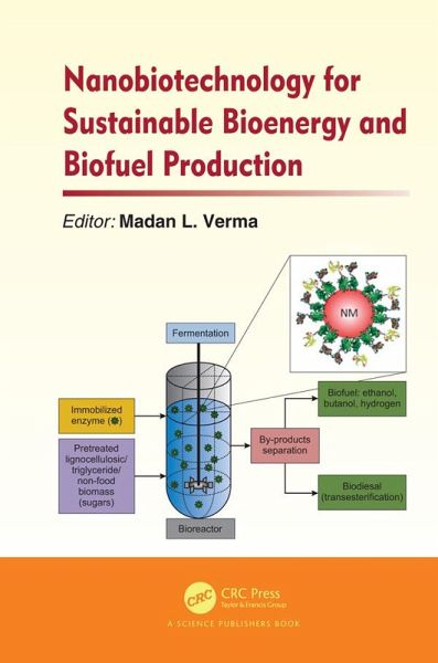 Nanobiotechnology for Sustainable Bioenergy and Biofuel Production (eBook, PDF) Nanobiotechnology for Sustainable Bioenergy and Biofuel Production (eBook, PDF)