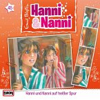 Folge 45: Hanni und Nanni auf heißer Spur (MP3-Download)