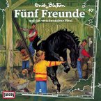 Folge 40: Fünf Freunde und das verschwundene Pferd (MP3-Download)