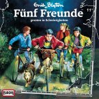 Folge 11: Fünf Freunde geraten in Schwierigkeiten (MP3-Download)