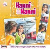 Folge 37: Hanni und Nanni gefährden eine Freundschaft (MP3-Download) Folge 37: Hanni und Nanni gefährden eine Freundschaft (MP3-Download)