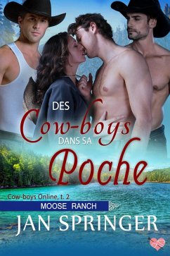 Des cow-boys dans sa poche (Cow-boys Online t. 2, #2) (eBook, ePUB) - Springer, Jan