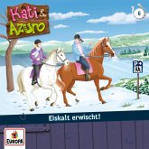 Folge 06: Eiskalt erwischt (MP3-Download)