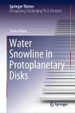 Water Snowline in Protoplanetary Disks (eBook, PDF)
