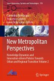 New Metropolitan Perspectives (eBook, PDF)