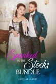 Spanked In The Stocks Bundle (eBook, ePUB)