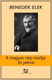 A magyar nép múltja és jelene (eBook, ePUB)