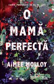 O mama perfecta (eBook, ePUB)