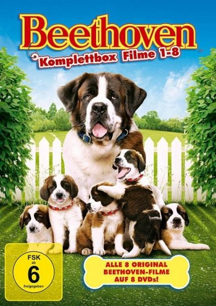 Ein Hund namens Beethoven - Komplettbox auf DVD - Portofrei bei bücher.de