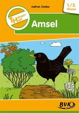 Themenheft Amsel 1./2. Klasse