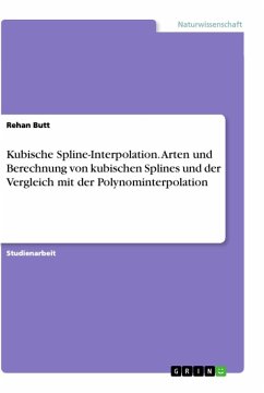 Kubische Spline-Interpolation. Arten und Berechnung von kubischen Splines und der Vergleich mit der Polynominterpolation - Butt, Rehan