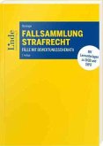 Fallsammlung Strafrecht