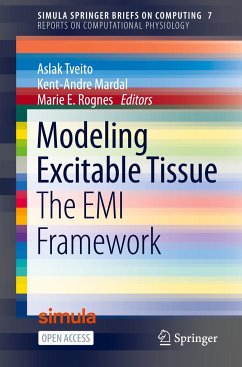 Modeling Excitable Tissue