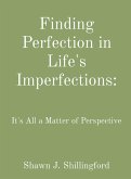 Finding Perfection in Life's Imperfections