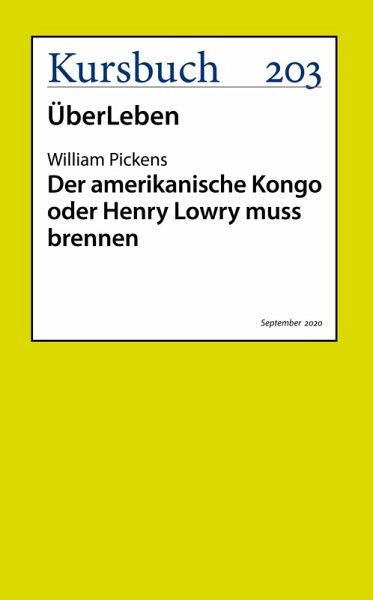 Der amerikanische Kongo oder Henry Lowry muss brennen (eBook, ePUB)
