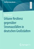 Urbane Resilienz gegenüber Stromausfällen in deutschen Großstädten (eBook, PDF)