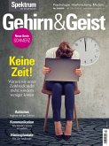 Gehirn&Geist 10/2020 Keine Zeit! (eBook, PDF)