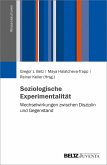 Soziologische Experimentalität (eBook, PDF)