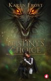 Destiny's Choice (eBook, ePUB)