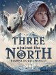 Three Against the North (eBook, ePUB) - Bild 1