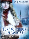 Die Turnachkinder im Winter (eBook, ePUB)
