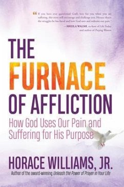 Cover The Furnace of Affliction (eBook, ePUB)