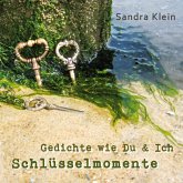 Schlüsselmomente (eBook, ePUB)