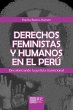 Derechos feministas y humanos en el... - Bild 1