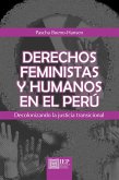 Derechos feministas y humanos en el Perú (eBook, ePUB)