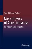 Metaphysics of Consciousness (eBook, PDF)