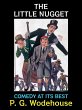 The Little Nugget (eBook, ePUB) - Bild 1
