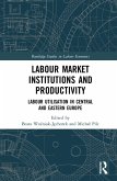 Labour Market Institutions and Productivity (eBook, PDF)